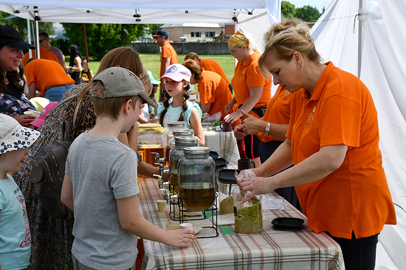 Autors: Ivars Bogdanovs