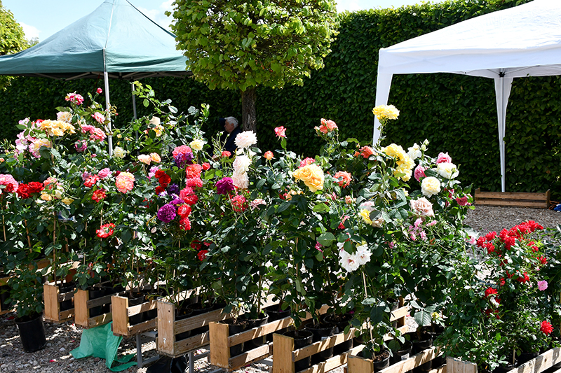 Autors: Ivars Bogdanovs