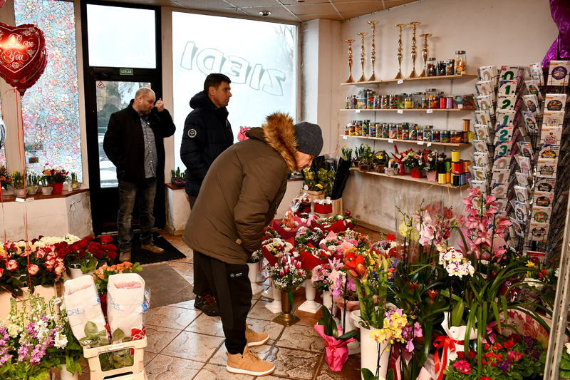 Autors: Ivars Bogdanovs