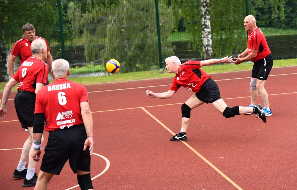 Autors: Uldis Varnevičs