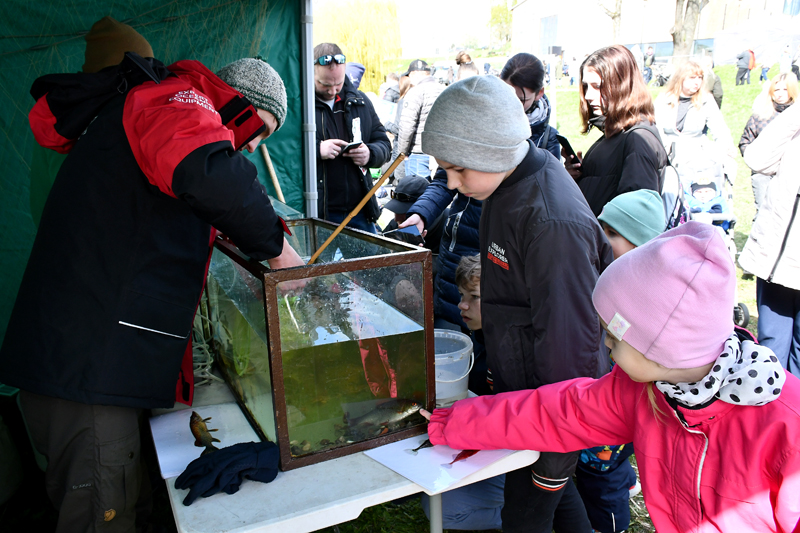 Autors: Ivars Bogdanovs