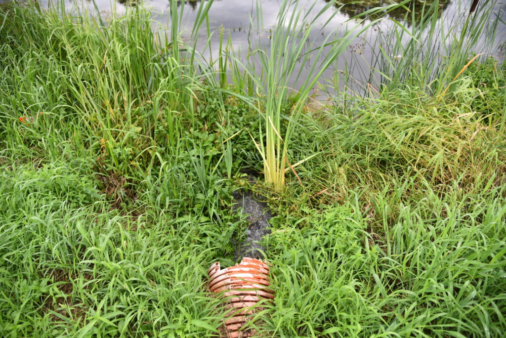 Autors: Uldis Varnevičs