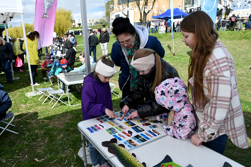 Autors: Ivars Bogdanovs