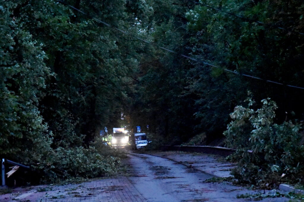 Autors: Uldis Varnevičs