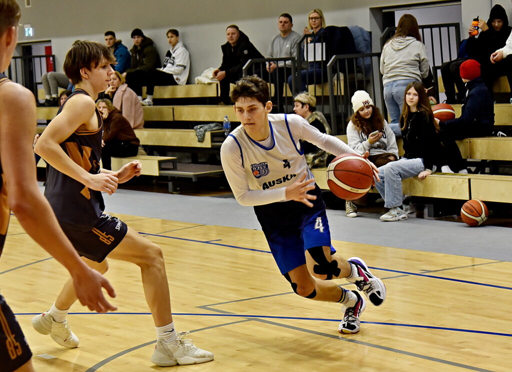 Autors: Uldis Varnevičs 