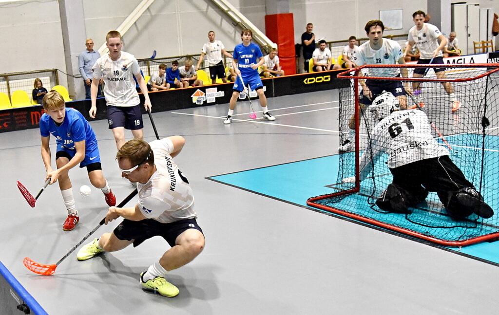 Autors: Uldis Varnevičs