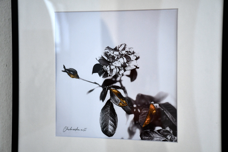 Autors: Ivars Bogdanovs