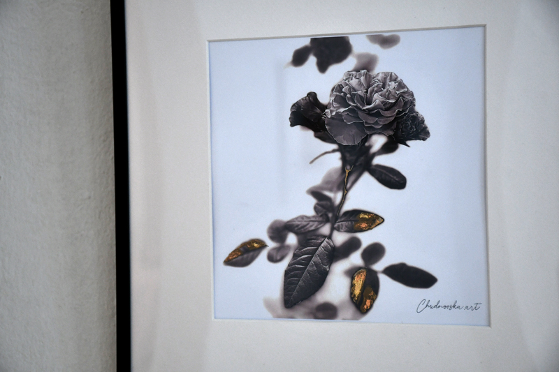 Autors: Ivars Bogdanovs