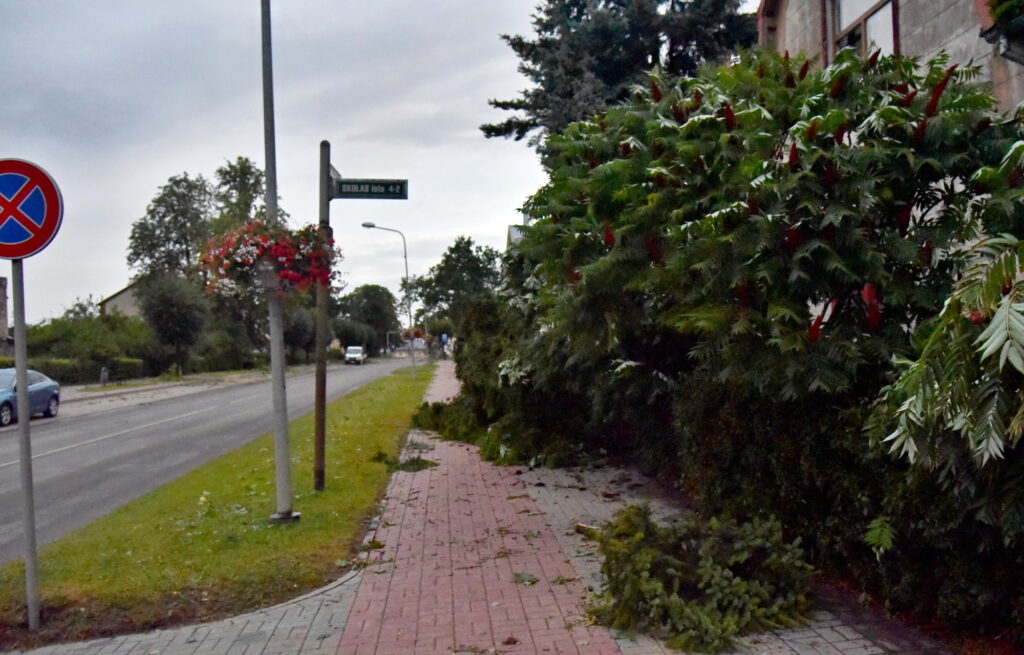 Autors: Uldis Varnevičs