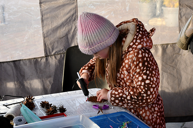 Autors: Ivars Bogdanovs