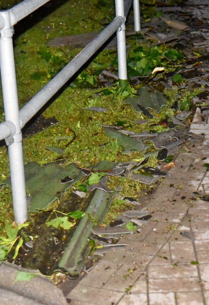 Autors: Uldis Varnevičs