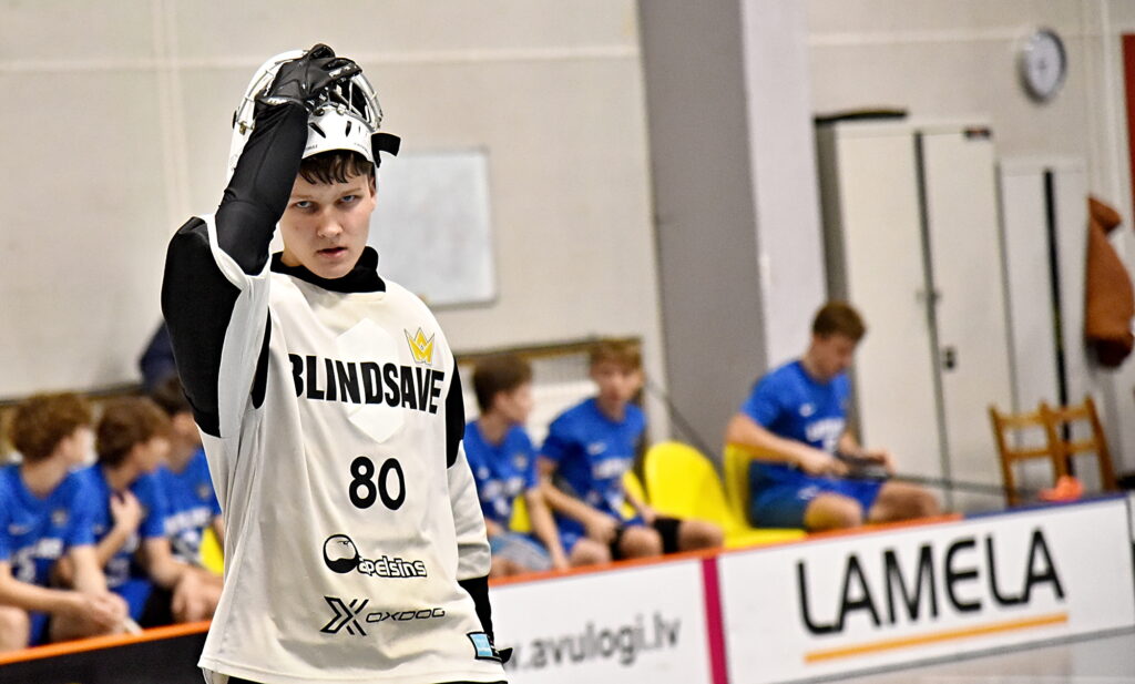 Autors: Uldis Varnevičs