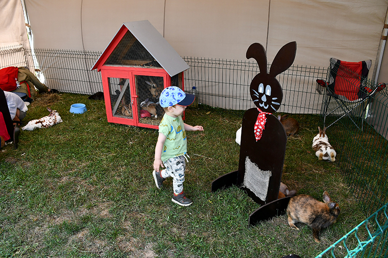 Autors: Ivars Bogdanovs