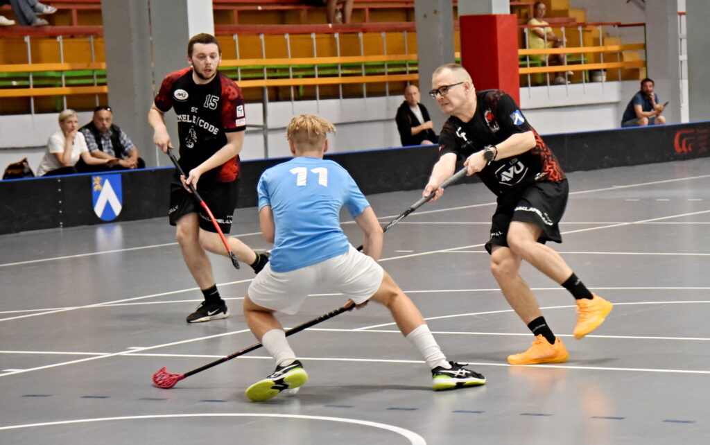 Autors: Uldis Varnevičs