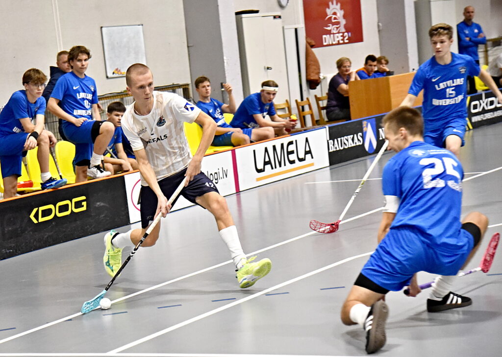 Autors: Uldis Varnevičs