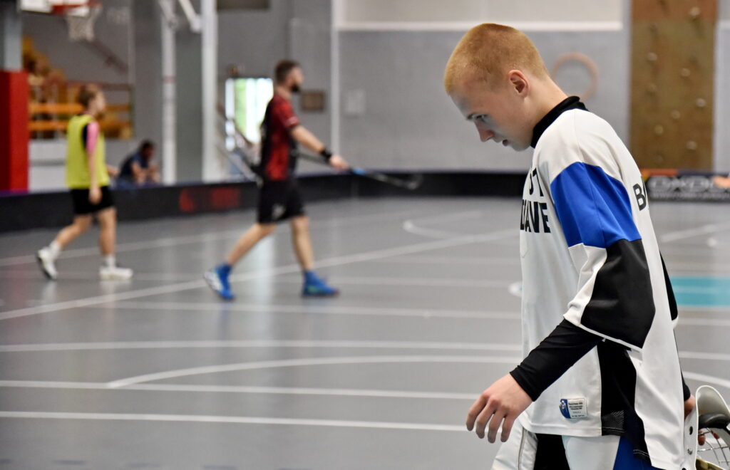 Autors: Uldis Varnevičs