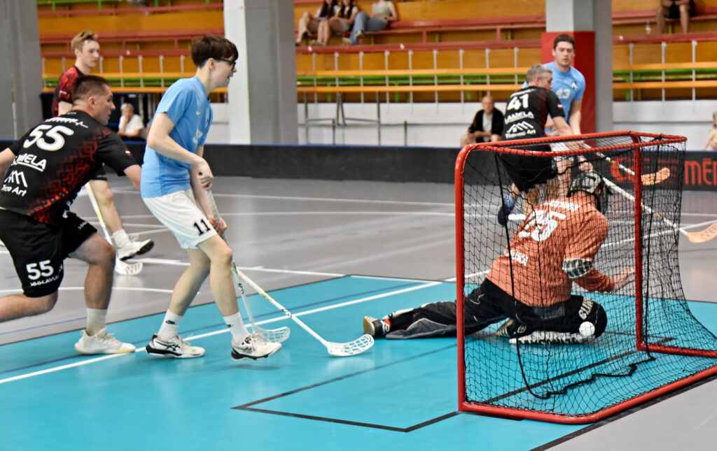 Autors: Uldis Varnevičs