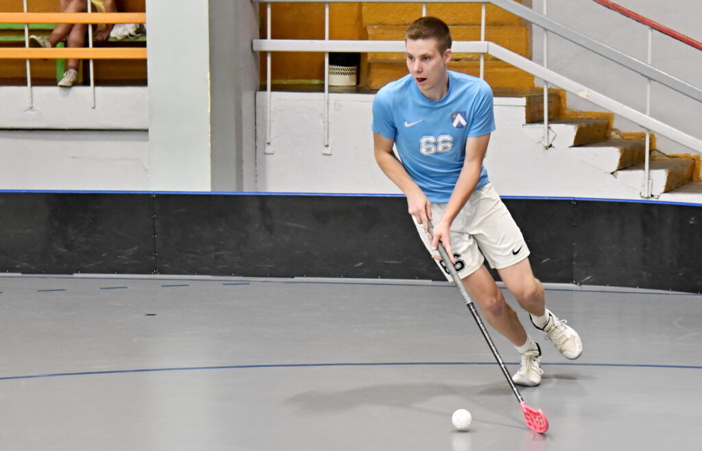 Autors: Uldis Varnevičs