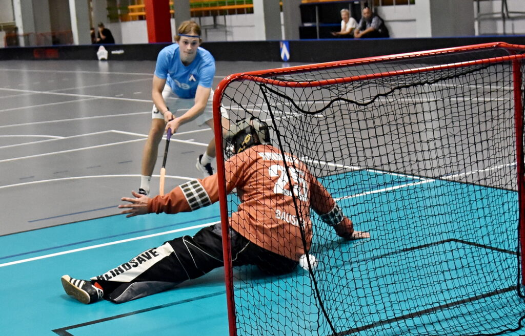 Autors: Uldis Varnevičs