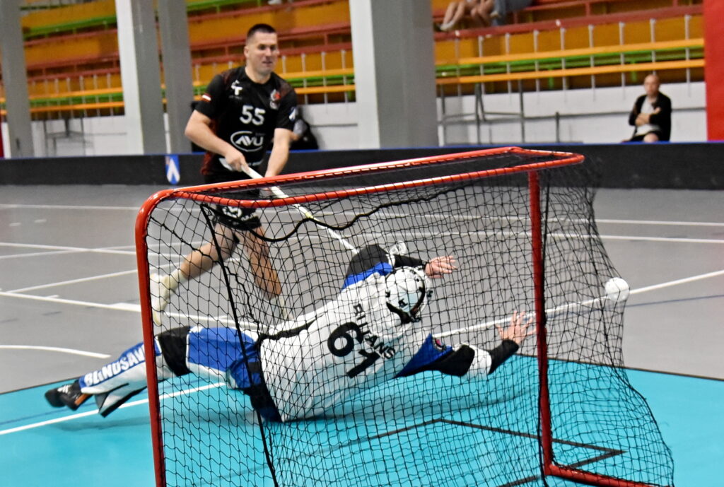 Autors: Uldis Varnevičs