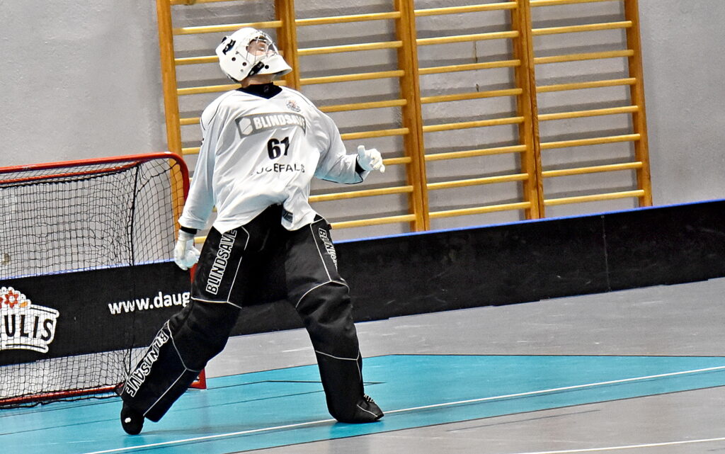 Autors: Uldis Varnevičs