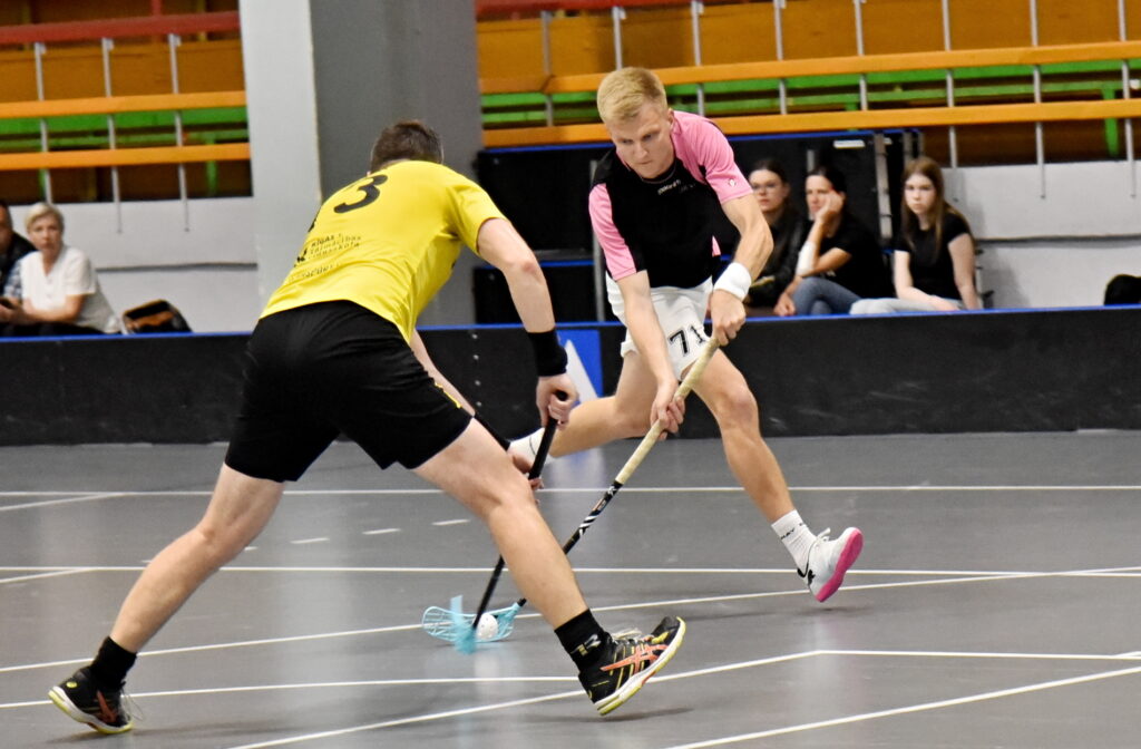 Autors: Uldis Varnevičs