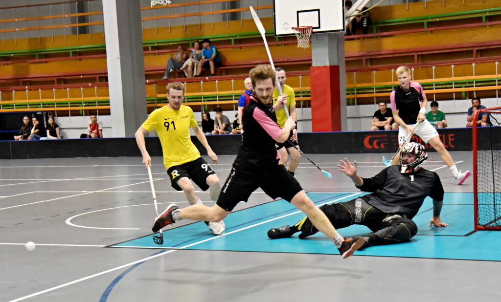 Autors: Uldis Varnevičs