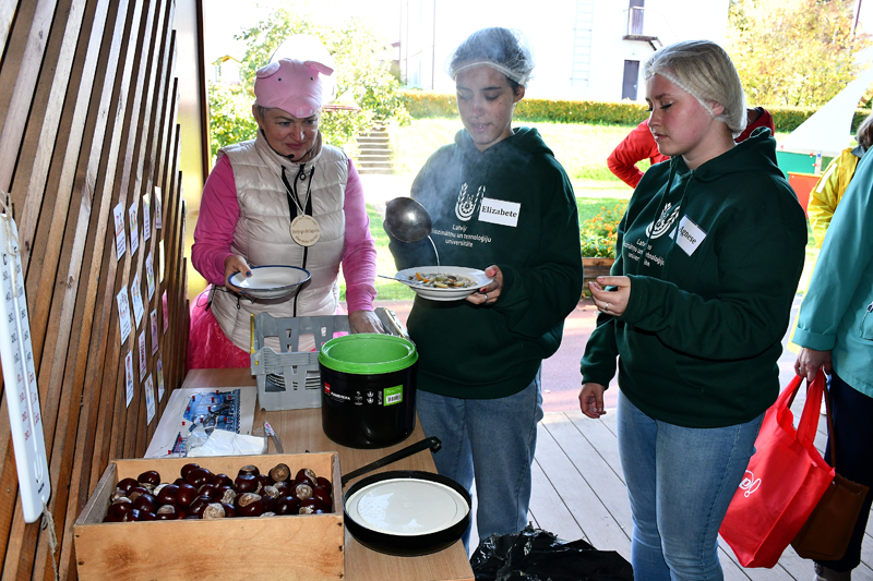 Autors: Ivars Bogdanovs