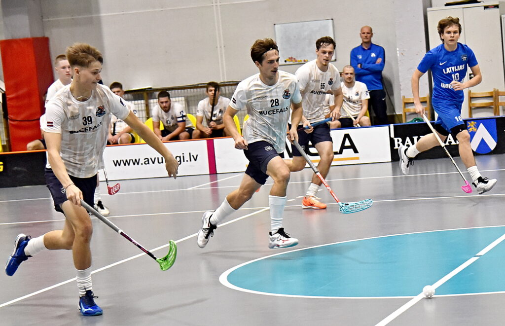 Autors: Uldis Varnevičs