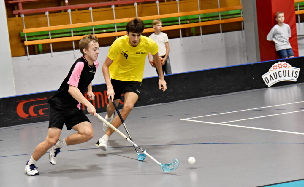 Autors: Uldis Varnevičs