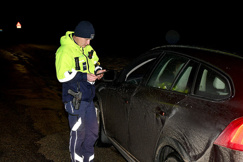 Autors: Ivars Bogdanovs