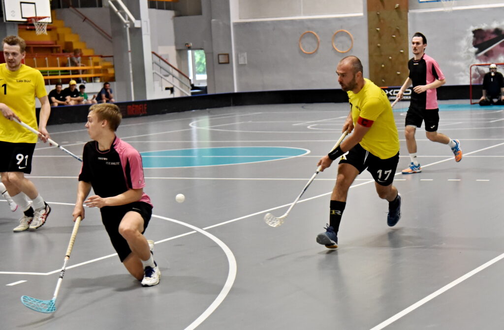 Autors: Uldis Varnevičs