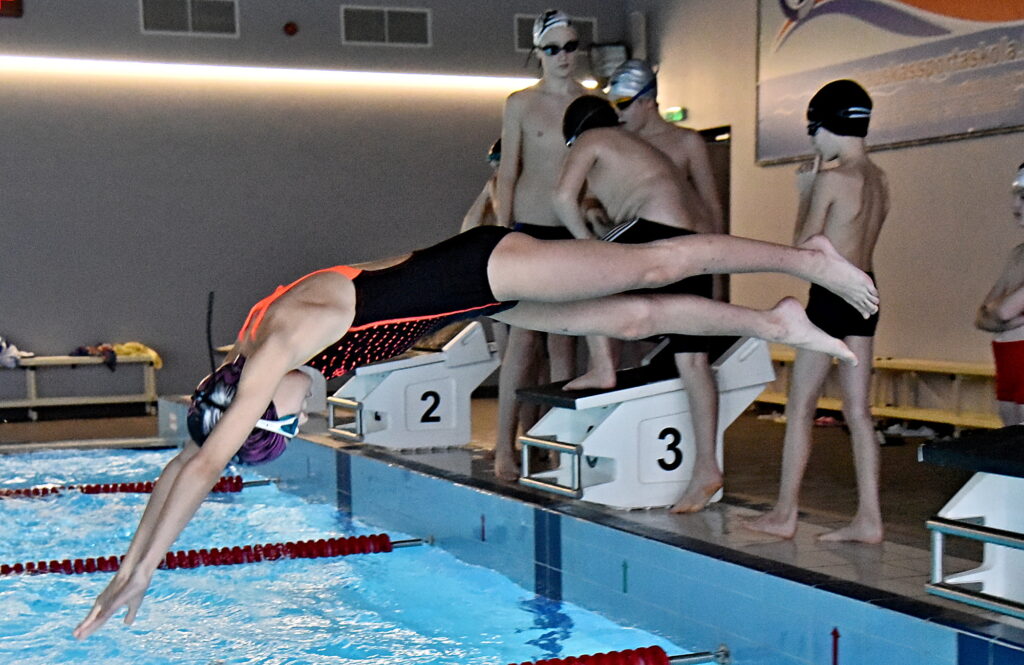 Autors: Uldis Varnevičs