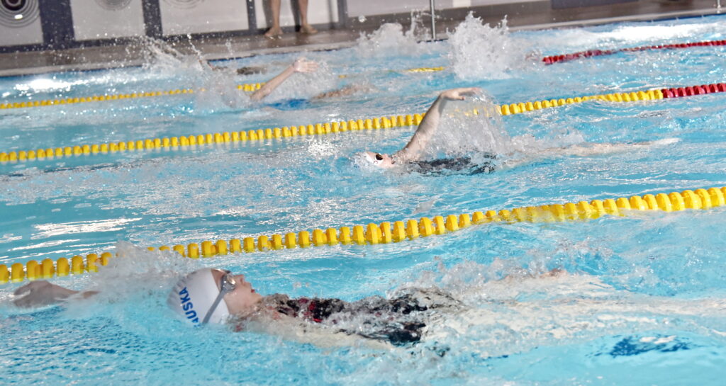 Autors: Uldis Varnevičs