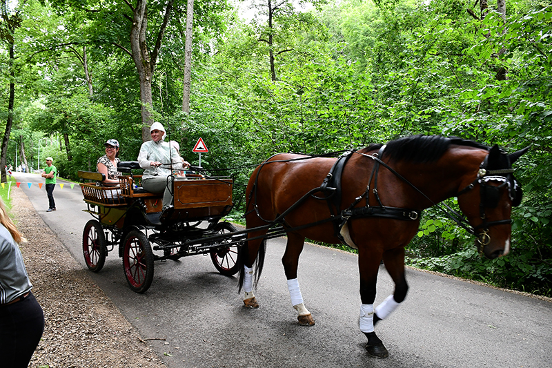 Autors: Ivars Bogdanovs