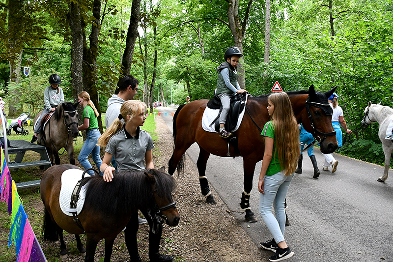 Autors: Ivars Bogdanovs