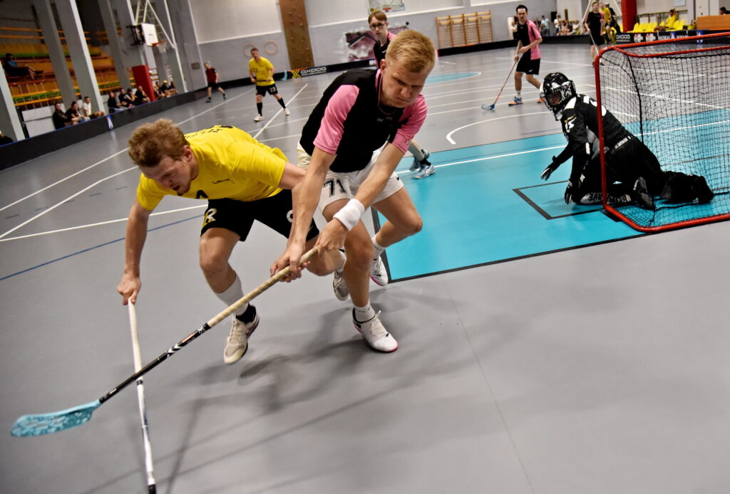 Autors: Uldis Varnevičs