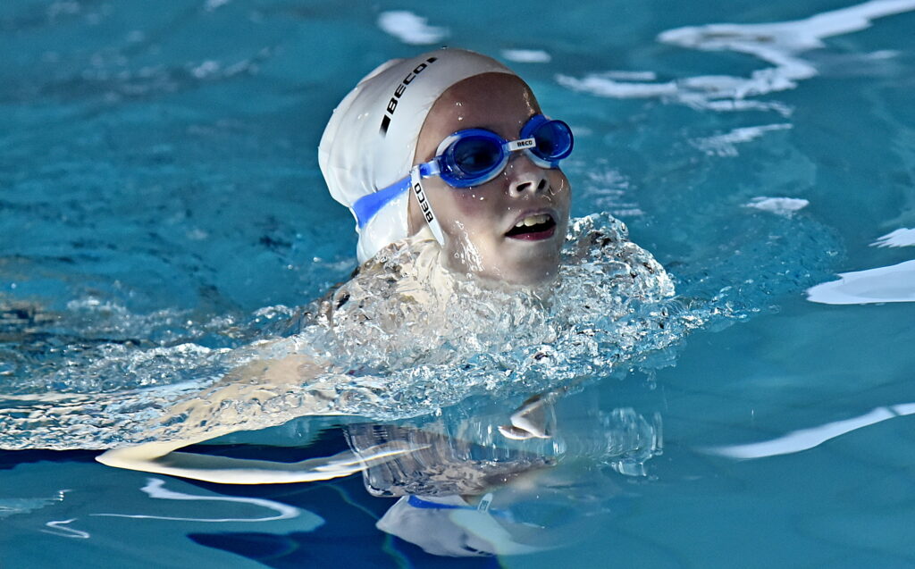 Autors: Uldis Varnevičs