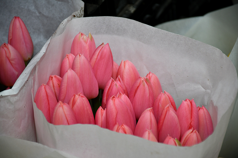 Autors: Ivars Bogdanovs