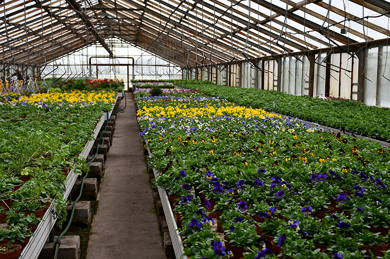 Autors: Ivars Bogdanovs