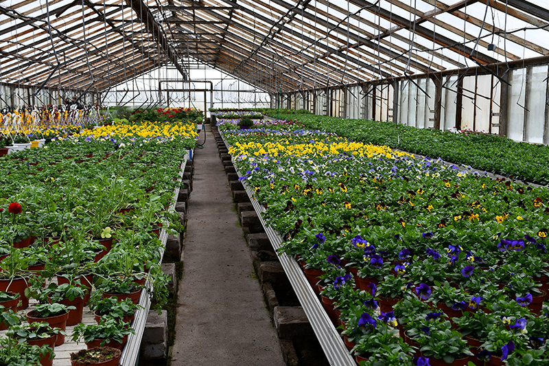 Autors: Ivars Bogdanovs