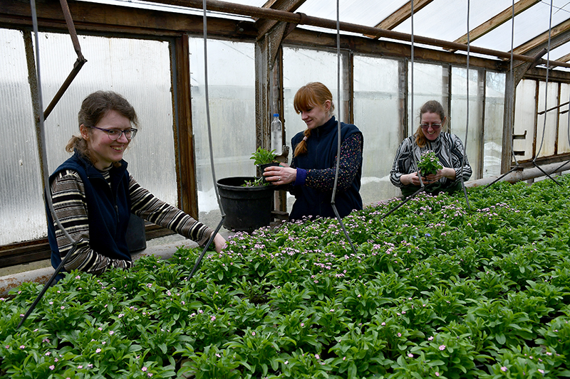 Autors: Ivars Bogdanovs