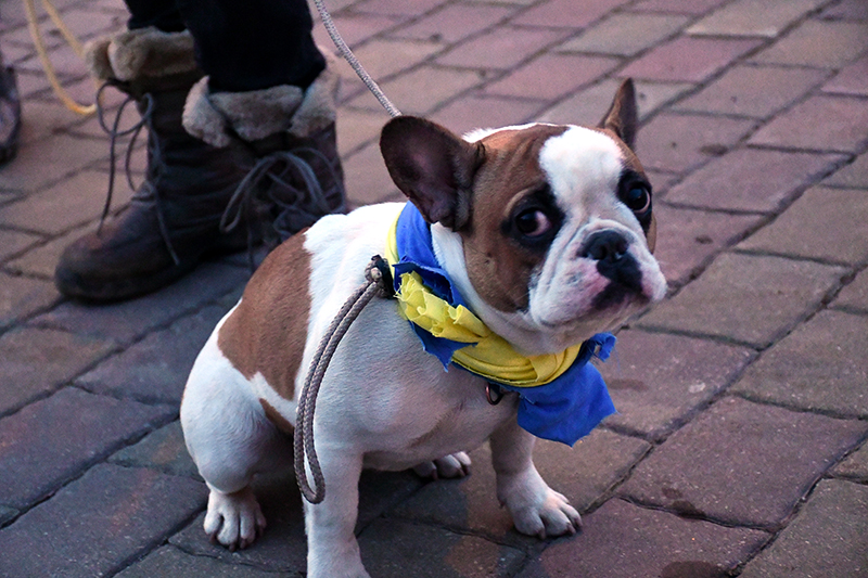 Autors: Ivars Bogdanovs