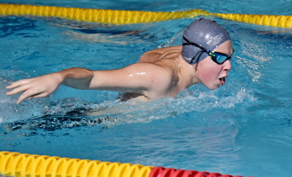 Autors: Uldis Varnevičs