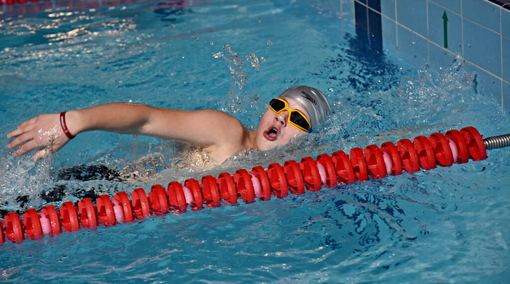 Autors: Uldis Varnevičs