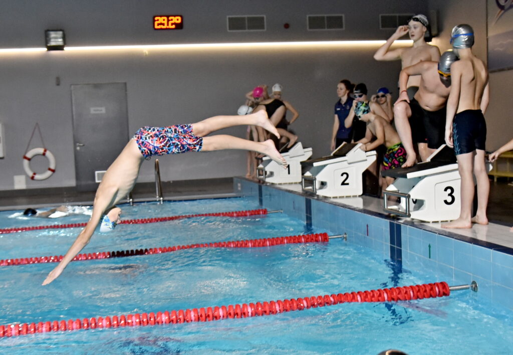 Autors: Uldis Varnevičs