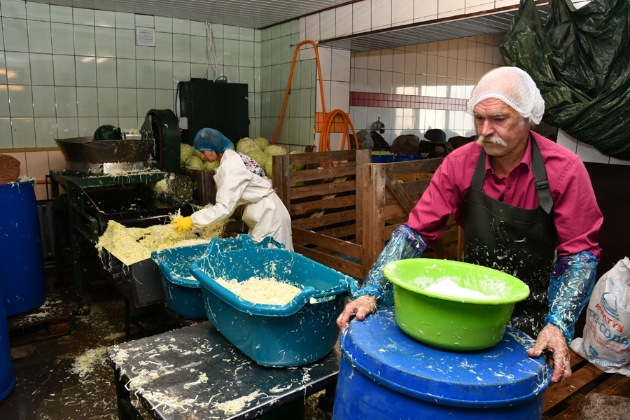 Autors: Ivars Bogdanovs