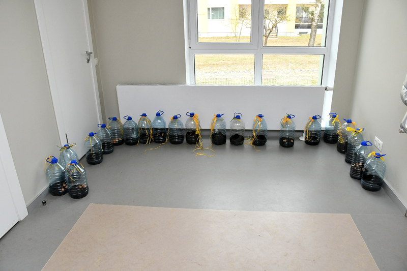 Autors: Ivars Bogdanovs