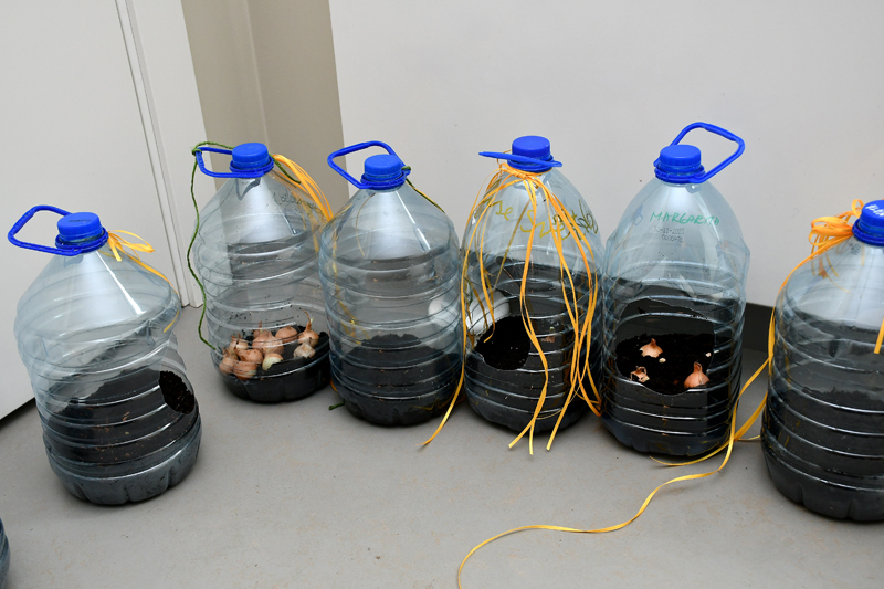 Autors: Ivars Bogdanovs