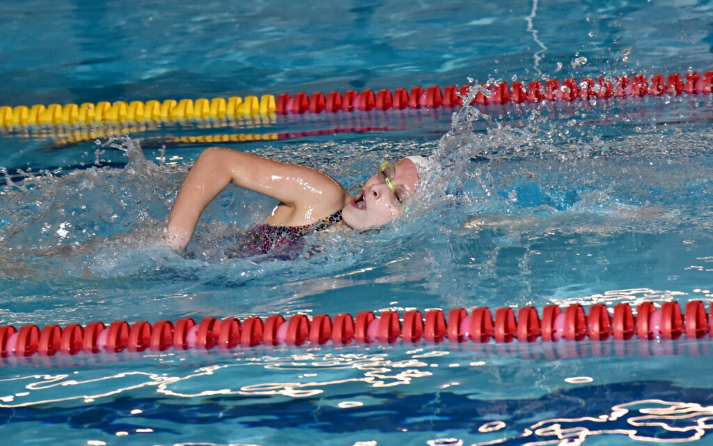 Autors: Uldis Varnevičs